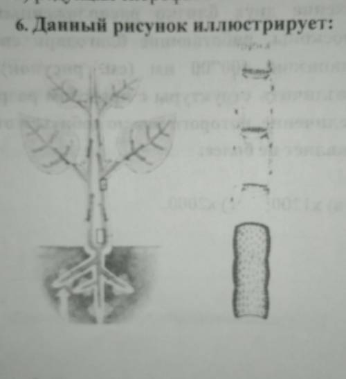 А) давление почвы на корневой волосок; б) дыхание растений;в) испарение воды растением;г) испарение