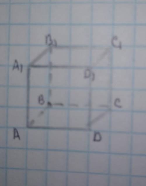 У кубі ABCDA1B1C1D1 знайдіть кути між мимобіжними прямими: 1) AB i B1D12) AB1 i BC1​