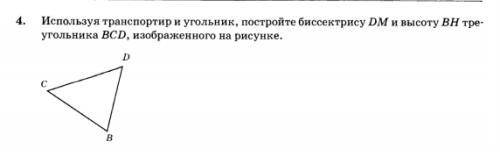 используя транспортир и угольник постройте биссектрису dm и высоту BH треугольника BCD!