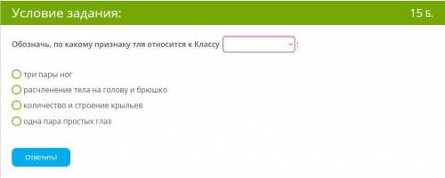 Обозначь, по какому признаку тля относится к Классу : три пары ног расчленение тела на голову и брюш