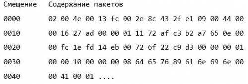 На вход информационной системы поступает UDP-пакет. После анализа UDP-пакета, искусственный интеллек