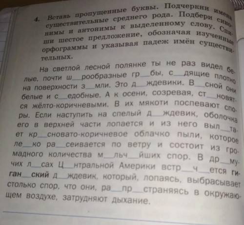 Вставь пропущенные буквы. Подчеркни имена существительные среднего рода. Подбери синонимы и антонимы