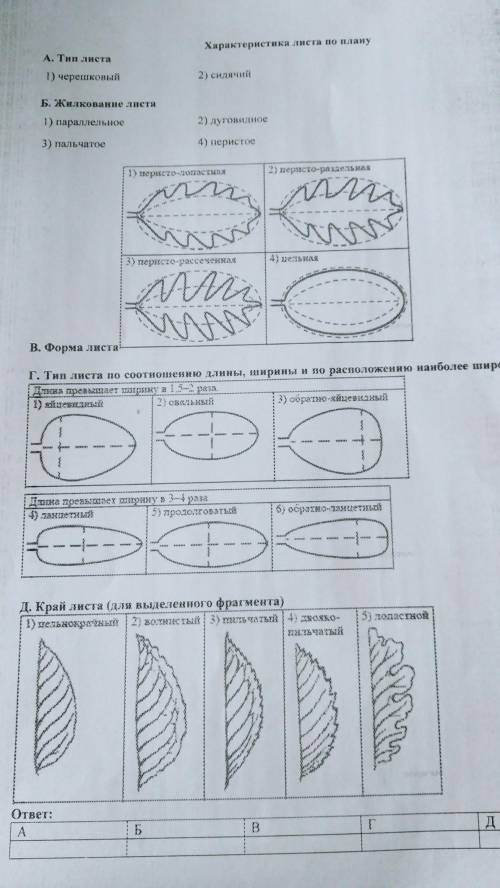 Лабораторная работа 6 . Морфология листа. Дать характеристику листа. 1. Берёза повислая, 2. Клен, 3