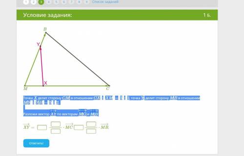 Точка X делит сторону CM в отношении CX:XM=5:2, точка Y делит сторону MB в отношении MY:YB=5:2.Разло