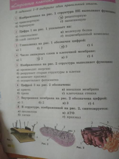 Сделать ТОЛЬКО тесты до 12)