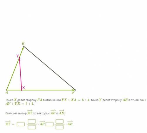 Точка X делит сторону FA в отношении FX:XA=5:4, точка Y делит сторону AE в отношении AY:YE=5:4.