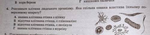 ЗАЛИШИЛОСЬ 5 ХВИЛИН БІОЛОГИ ДО ТЬ