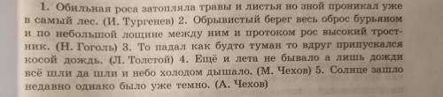 9 класс Нужно в найти предложения с ССП и сделать их схемы