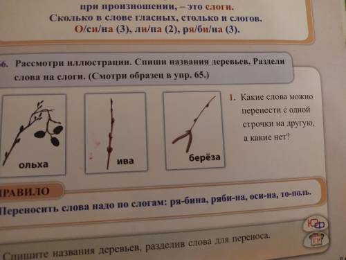 Как писать? 1) оль-ха 2) и-ва 3) бе-рё-за Ива нельзя перенести. Так правильно?