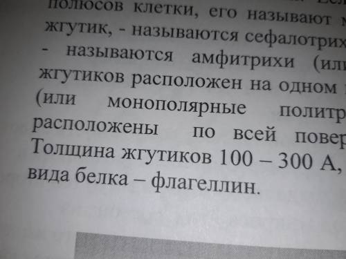 Толщина жгутиков 100А. Что такое А?