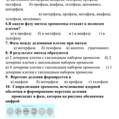 Тест по биологии ,,митоз 1.В какую фазу митоза происходит деление цитоплазмы клетки? а) в анафазу б)