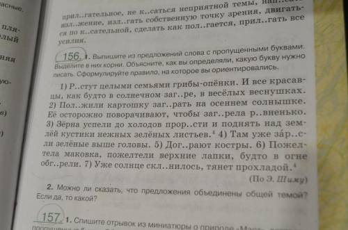 Выполняем упр.156 по заданию: списать, вставить буквы, графически показать эту орфограмму (выделить