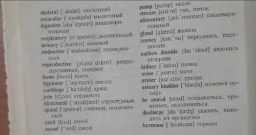 Найдите в тексте английские эквиваленты для следующих слов и словосочетаний)