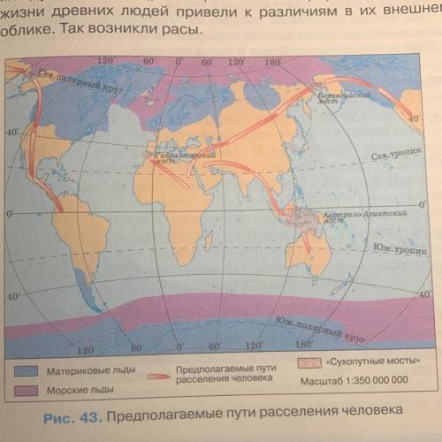 Используя рисунок, подпишите и покажите стрелками основные направления миграционных потоков в Пример