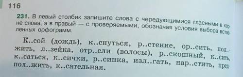 Мне надо именно по столбцам с объяснением.А НЕ БУКВУ.!​