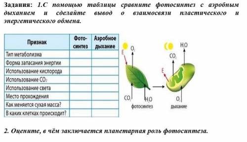 1. С таблицы сравните фотосинтез с аэробным дыханием и сделайте вывод о взаимосвязи пластического и