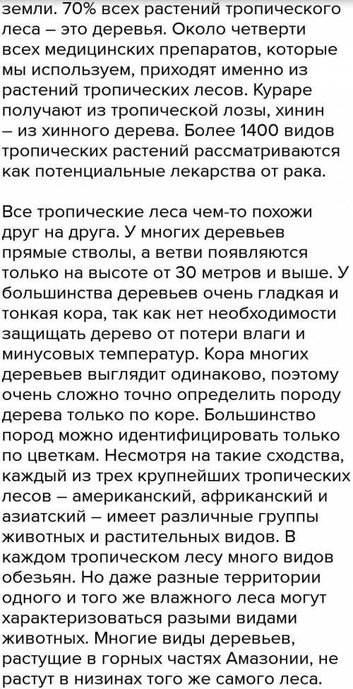 Написать рассказ о тропическом дождевом лесу