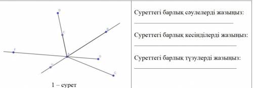 Запишите все лучи, отрезки,прямые на картинке