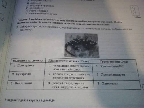 Завдання:Виберіть три характеристики,що відповідають систематиці об єкта забраженого на малюнку