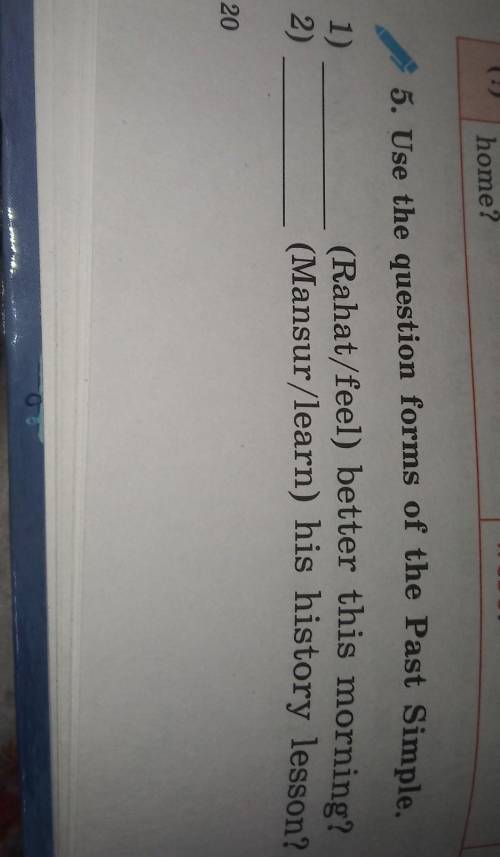 Use The question forms of the Past Simple​