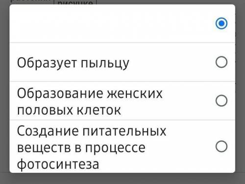 Какая функция у женской шишки ели обыкновенной? ​