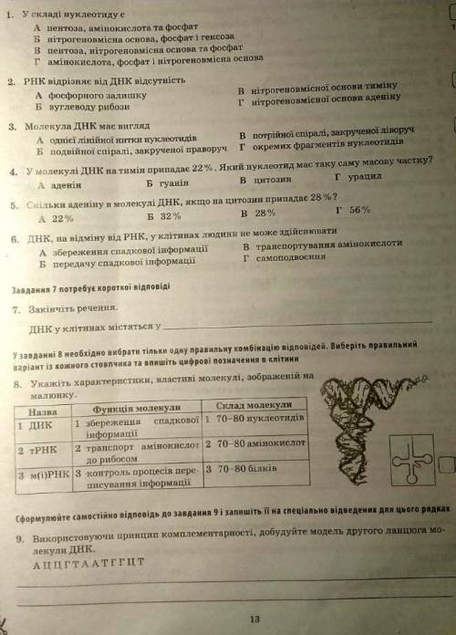 Самостійна робота. Нуклеїнові кислоти. Ві =D