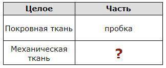 Какое понятие следует вписать на место вопроса в этой таблице? Выберите один ответ: a. колленхима b.