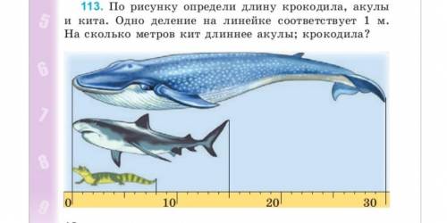 На рисунке определите длину крокодила, акулы и кита. Одно деление на линейке соответствует 1 м. На с