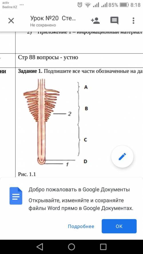 Подпишите все части обозначенные на рисунке 1.1