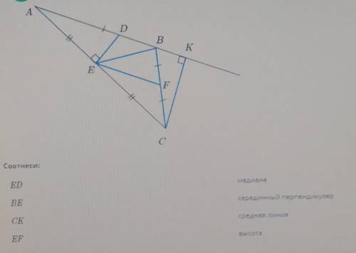 Соотнеси: 1.ЕD2.BE3.CK4.EFа.медианаб.средний перпендикулярв.средняя линияг.высота​