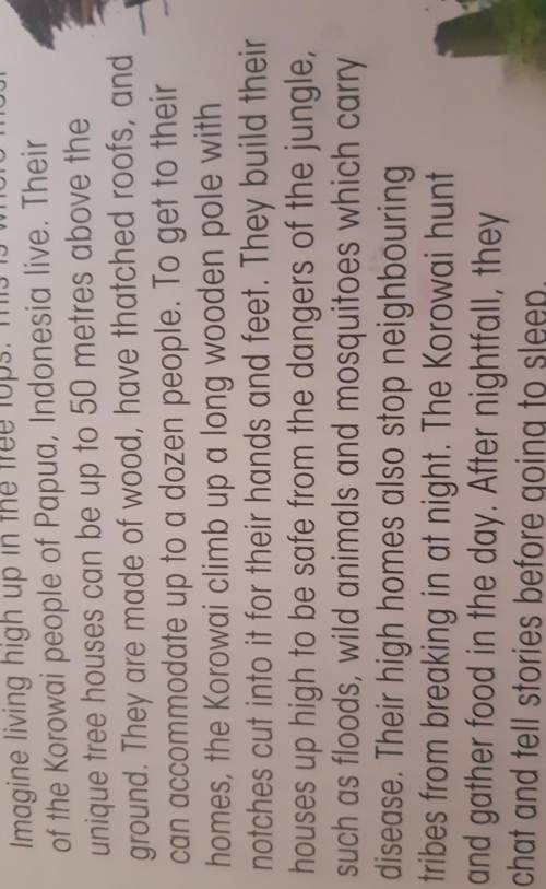 Read the text and answer the questions 1.what are the tree houses of the korowai people made of2. Ho