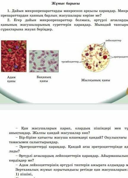 Биология зертханалық жұмыс 6 шы​