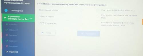 очень нужно я сделал уже две ошибки если сделаю ещё то будет тройка