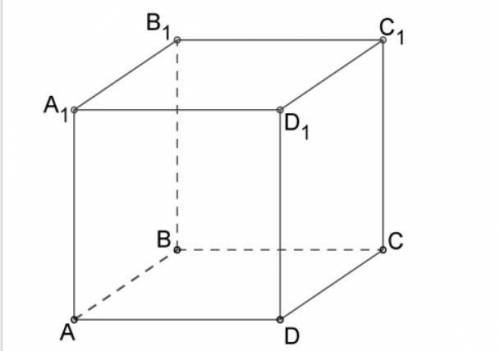 Дан куб ABCDA1B1C1D1. Докажи, что B1D⊥ D1C.