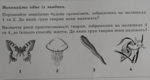 Виконайте одне із завдань. Порівняйте зовнішню будову організмів, зображених на малюнках1 та 2. До я