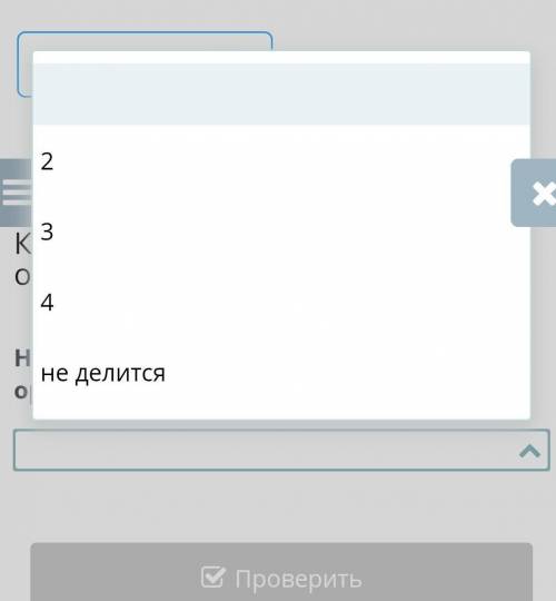 На сколько групп делится казахский орнамент по происхождению?​