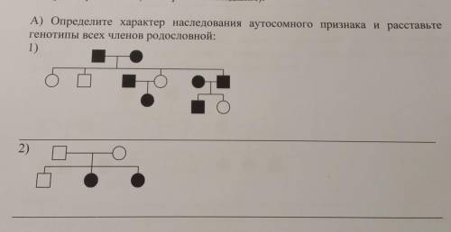 А) Определите характер наследования аутосомного признака и расставьте генотипы всех членов родословн