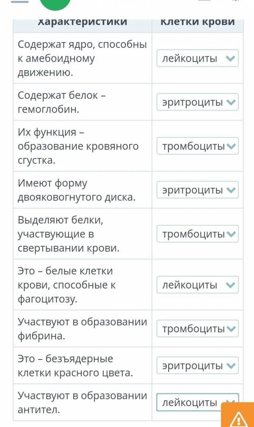 Правильно? По характеристикам определи клетки крови.​