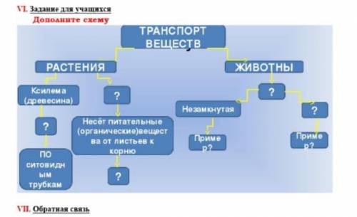 «биология» транспорт веществ. дополнить схему дам 5 звезд и