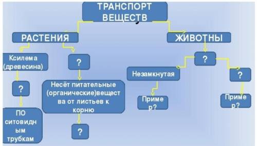 Зачертите и заполните схему в тетради