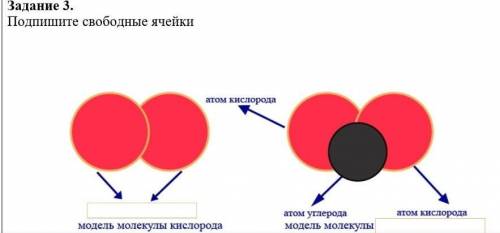 Задание 3.Подпишите свободные ячейки​