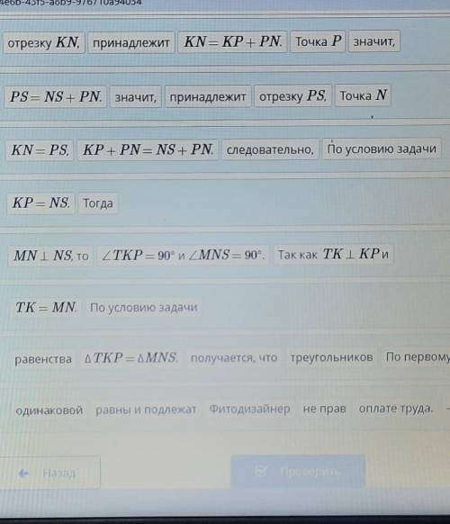 Фитодизайнер одинаково оформил две клумбы, но считает, что данные клумбы не равны.Фитодизайнер требу