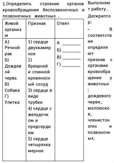 определить строение органов выполняют кровообращения беспозвоночных и работу позвоночных животных