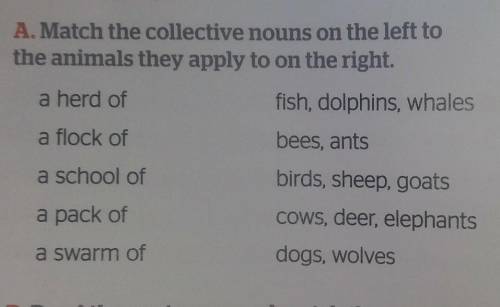 A. Match the collective nouns on the left to the animals they apply to on the right.a herd offish, d