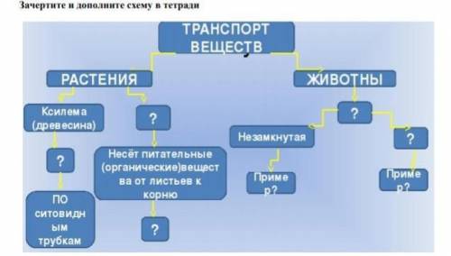 Задание для учащихся: запишите в тетради тему урока, выпишите все термины и определения и выполните