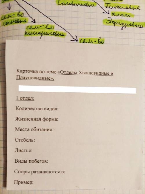 Биология, 7 класс. Тема: Отделы Хвощевидные и Плауновидные.