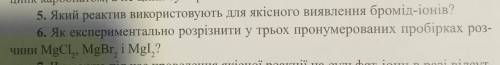 сделать №5 и №6. Буду очень благодарна)​