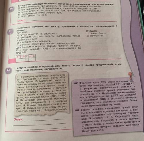 Нужны ответы на 10-12 вопросы. От