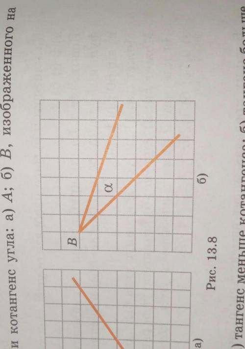 Найдите тангенс и котангенс угла б) В, изображенного на рисунке 13.8​