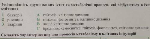 Увідповідніть групи живих істот та метаболічні процеси, які відбуваються в їхніхклітинах​